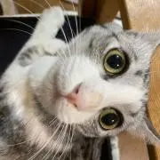 t(断捨離中)の画像