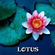 フジヤガム　王　長嶋　他５枚セット フジヤガム 王 長嶋 他5枚セット - メルカリ