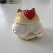 こぎつねさんの画像