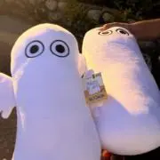 にぼしの画像