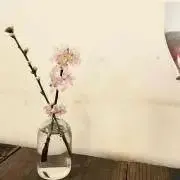 Moriの画像