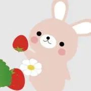 2a.yの画像
