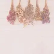 tooの画像