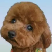 みぃ