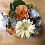 yukarinの画像