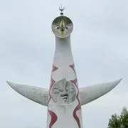 Tomの画像