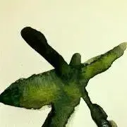 jvisの画像