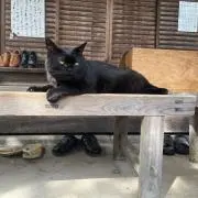 やま。の画像