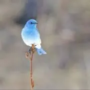 kiki8888の画像