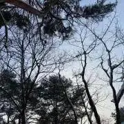 Uの画像