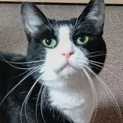 ちゃーくんの画像