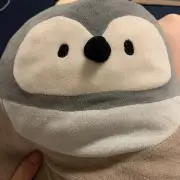 ぺんの画像