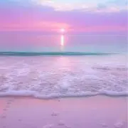 みきたの画像