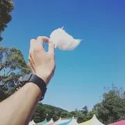 Yo Yo Yo