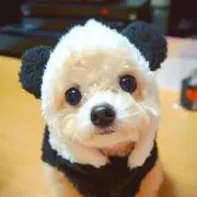 ハッピー♡の画像