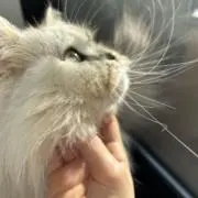 まる。