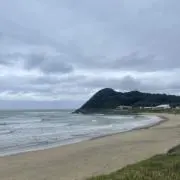まっすーの画像