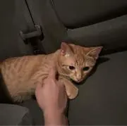 フミヤの画像