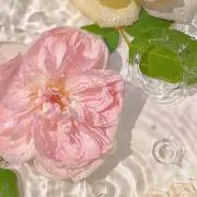 りーの画像