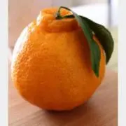 でこぽん