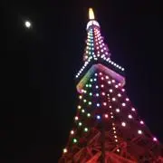 ゆきんこの画像
