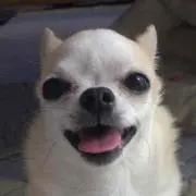 ヒロくん
