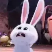 ☆プロフ必見の画像