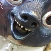 sfida