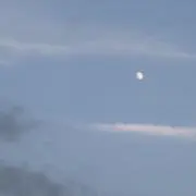 葉っぱの画像