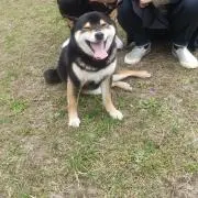 やまやの画像