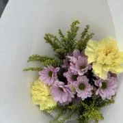 なべこの画像