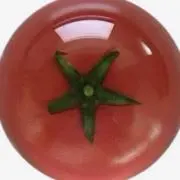 そるの画像