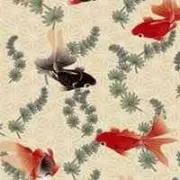 Tsuyoshi Tsuyoshi
