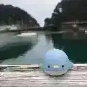 きいの画像