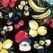 Saaの画像