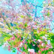 りこ※在庫確認よろしくお願いしますの画像
