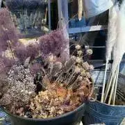 mmの画像