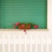 ‎すんだもちの画像