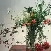 ももの画像