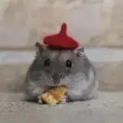 まあみの画像