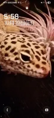 keiの画像