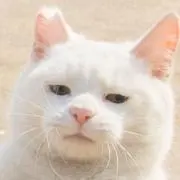 げんたまーに