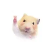 yの画像