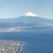 しゅ