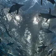 雨の画像