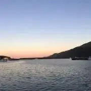 もんすたーの画像
