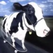 はくの画像