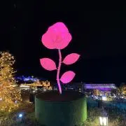コメットさん！(=^・^=)の画像