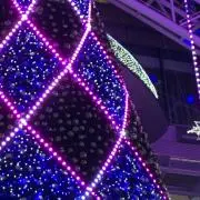 yokkoの画像