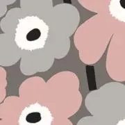 ぷにこの画像